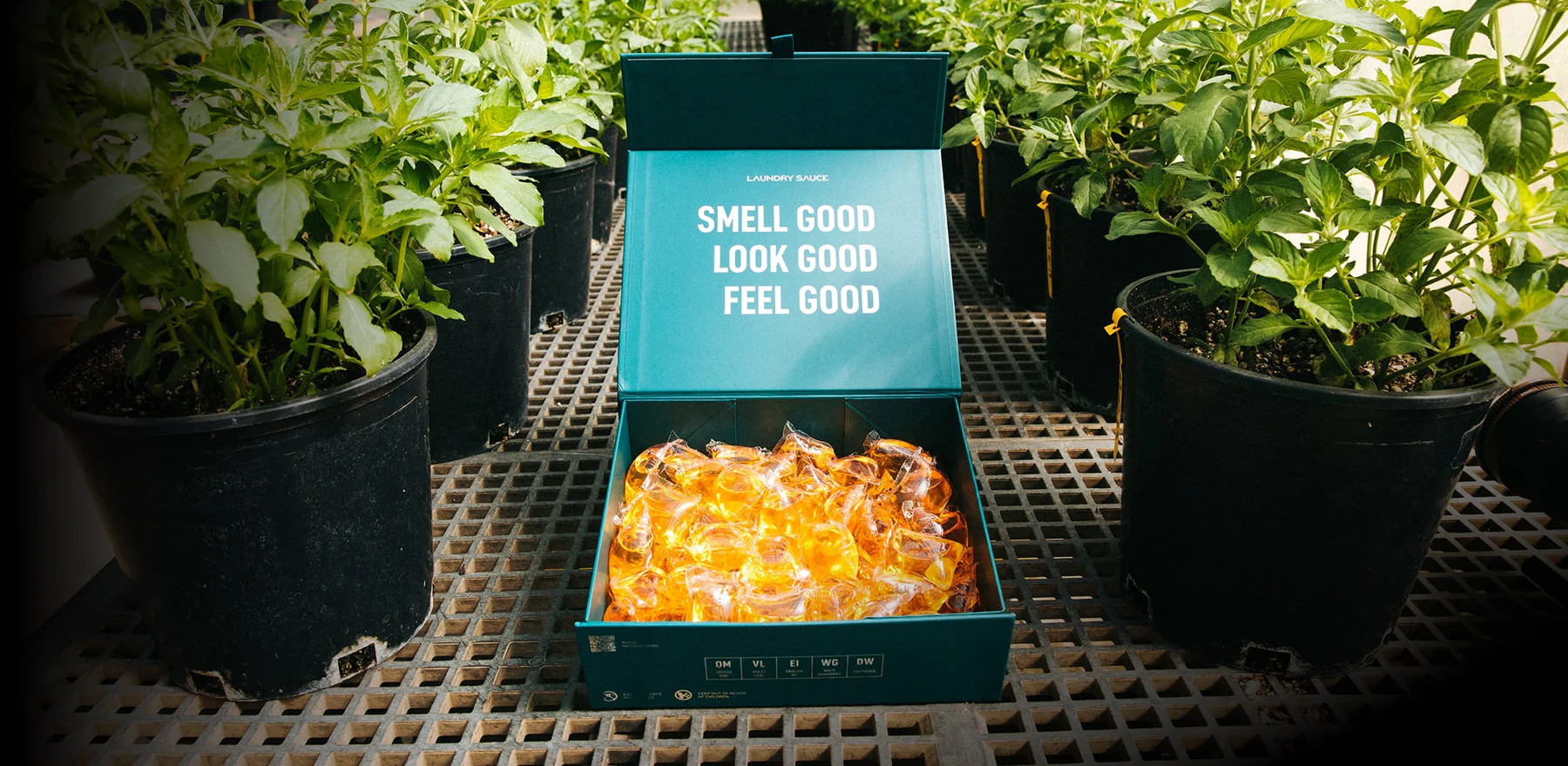 Smell Like Greatness, Not Laundry